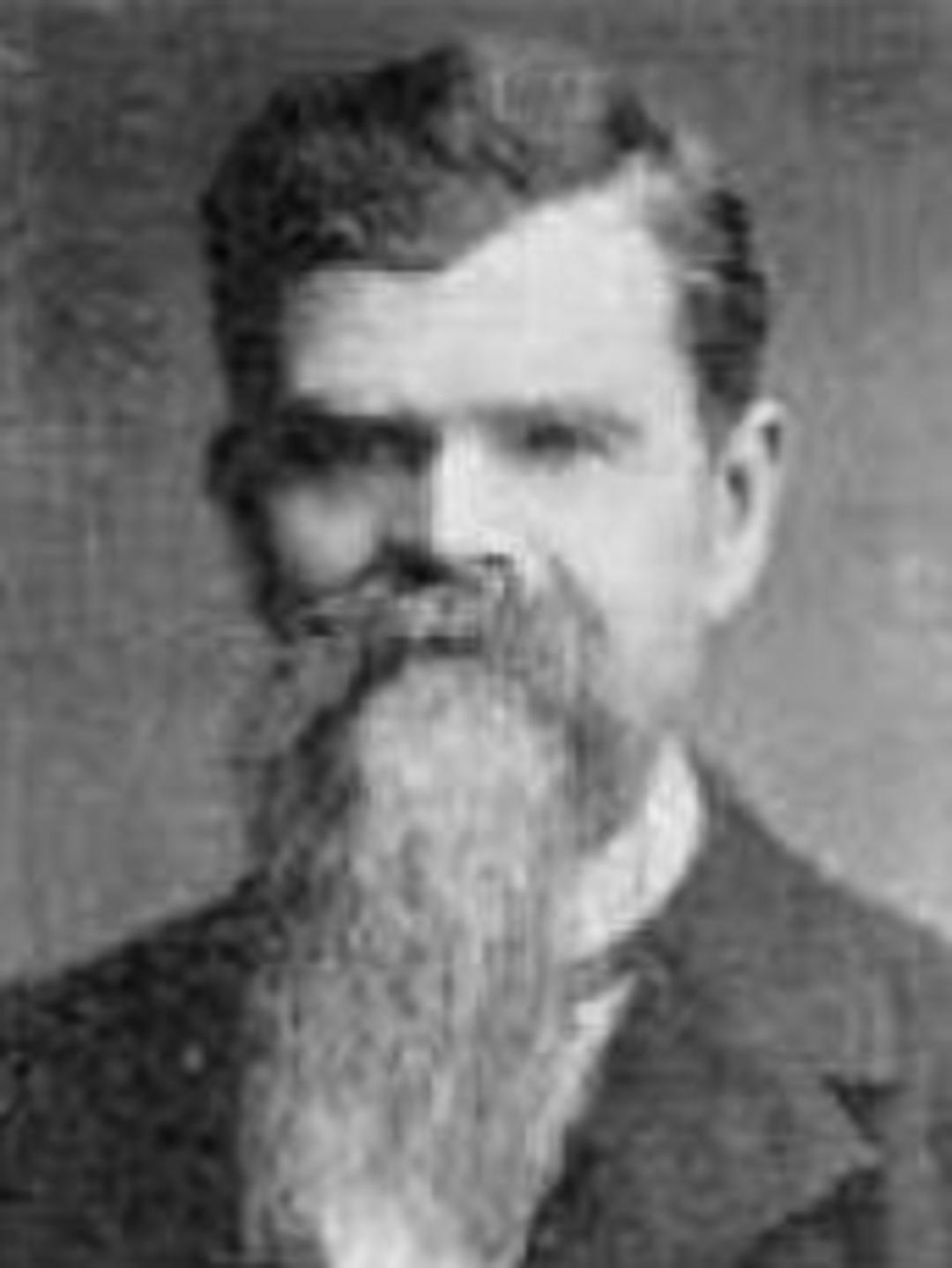 Joseph Partridge Newman (1845 - 1922) Profile